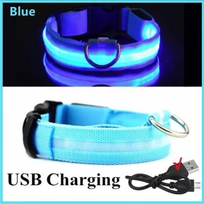 LED Luminous Dog Collar – USB Rechargeable & Detachable Night Safety Collar for Pets