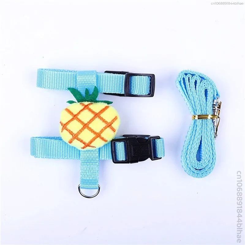 Rabbit Harness and Leash Set – Adjustable for Small Animals
