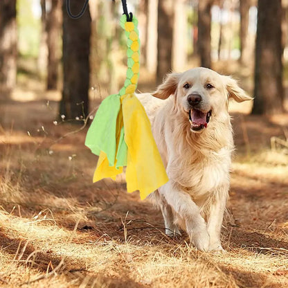 ChaseFlex – Retractable Flirt Pole & Interactive Dog Training Toy