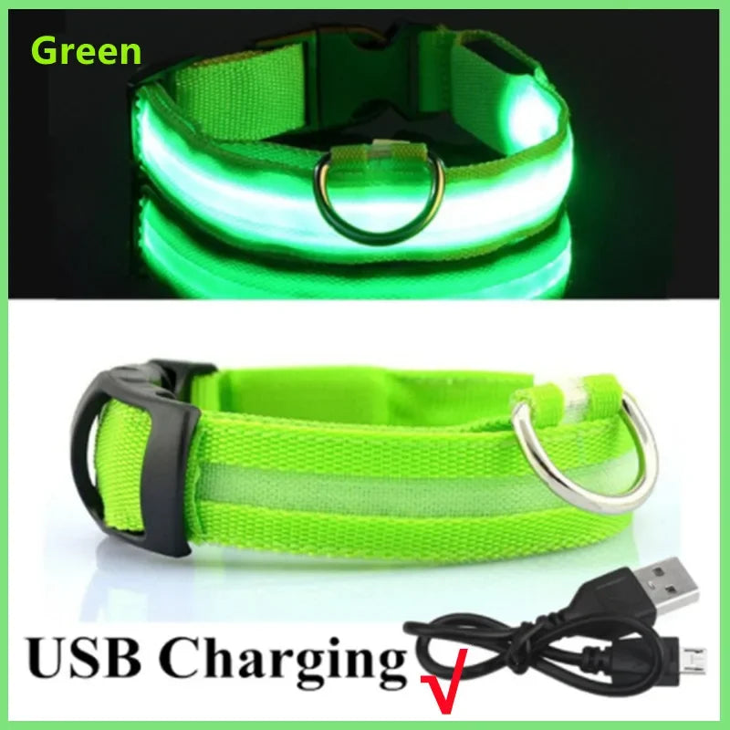 LED Luminous Dog Collar – USB Rechargeable & Detachable Night Safety Collar for Pets