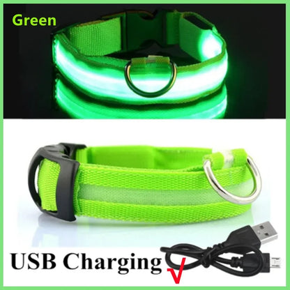 LED Luminous Dog Collar – USB Rechargeable & Detachable Night Safety Collar for Pets
