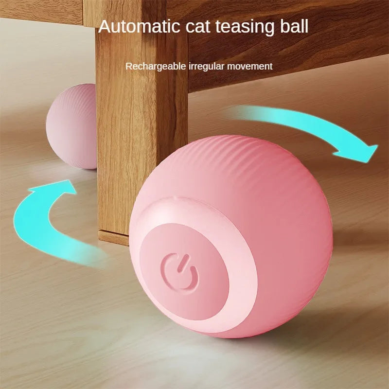 Automatic Moving Ball for Cats