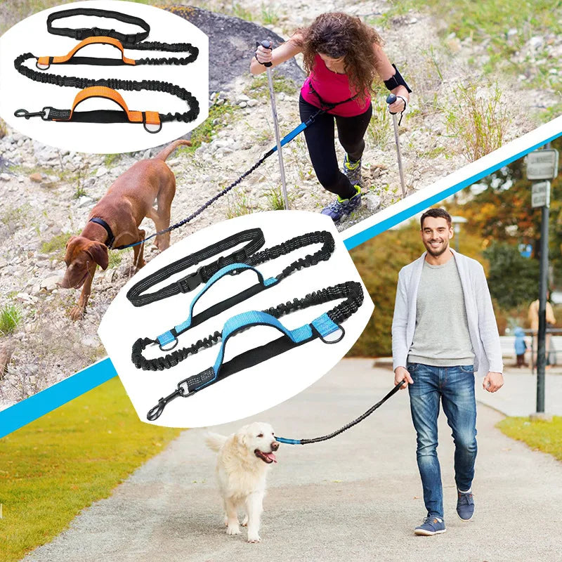 Reflective Dual-Elastic Hands-Free Dog Leash