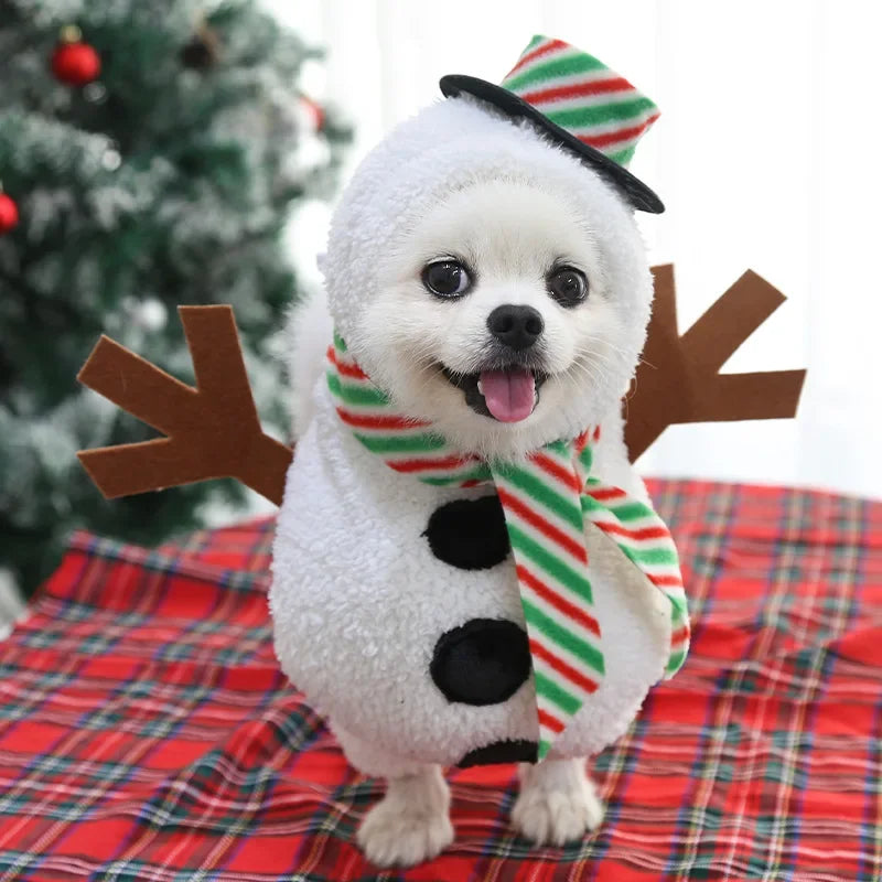 Festive Cartoon Dog Costume