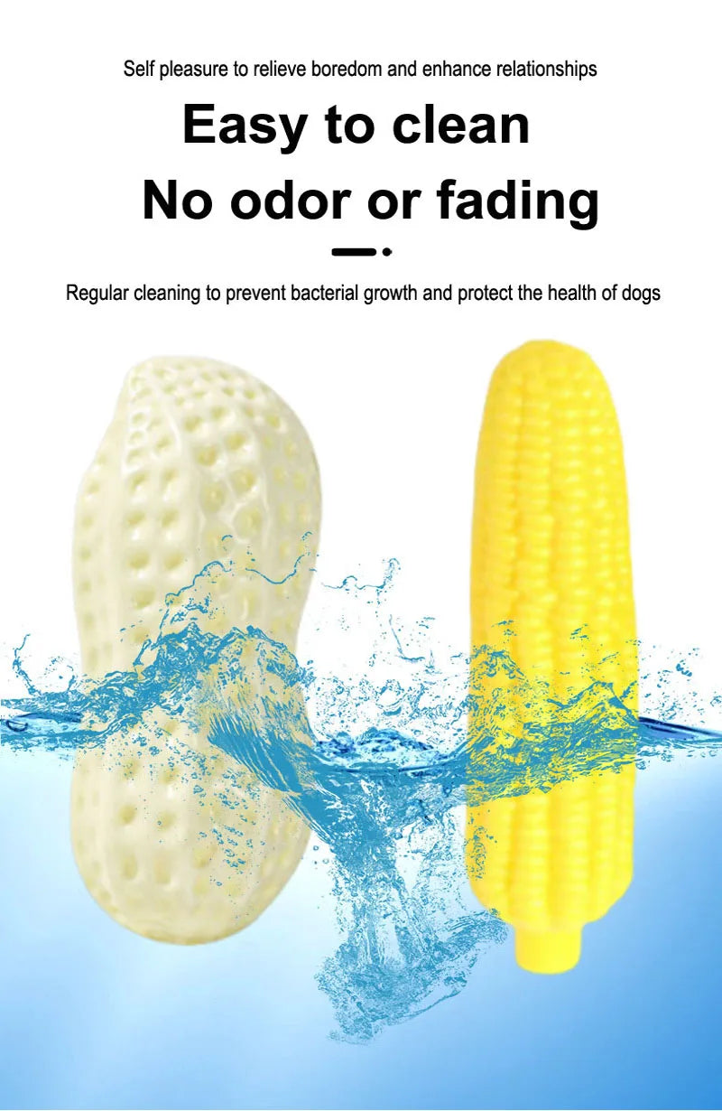 Peanut & Corn Squeaky Dog Chew Toy