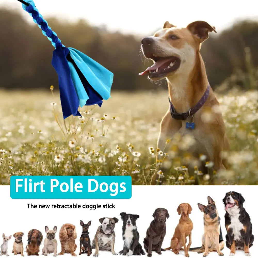 ChaseFlex – Retractable Flirt Pole & Interactive Dog Training Toy