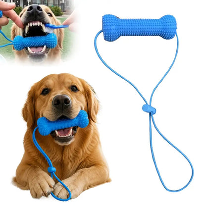 Dual-Action Dog Dental Chew & Brushing Aid