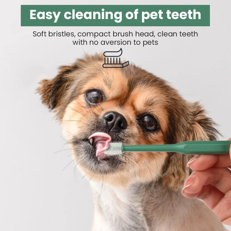 Pet Toothbrush