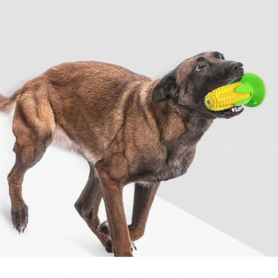 CornGrip – Suction Cup Dental Chew Toy 🌽🦷