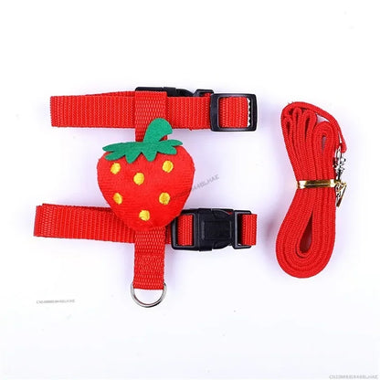 Rabbit Harness and Leash Set – Adjustable for Small Animals