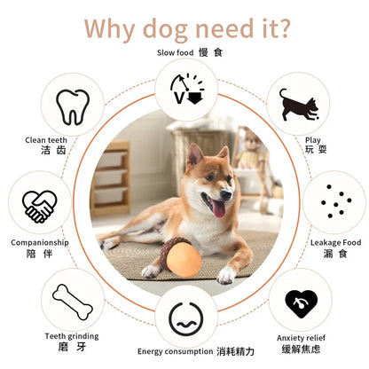 AcornBite – Interactive Treat Puzzle 🐶🌰