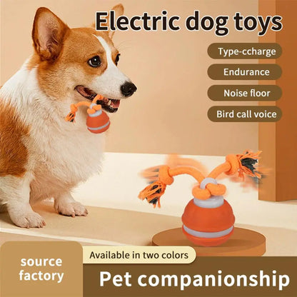 Smart Interactive Rechargeable Dog Ball – Automatic Motion Training Toy