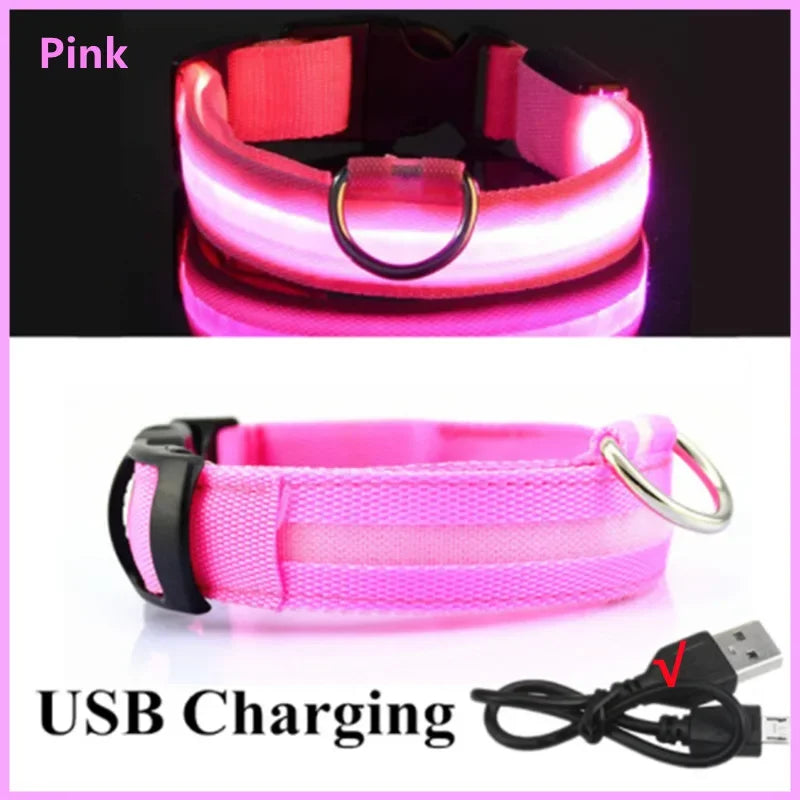 LED Luminous Dog Collar – USB Rechargeable & Detachable Night Safety Collar for Pets