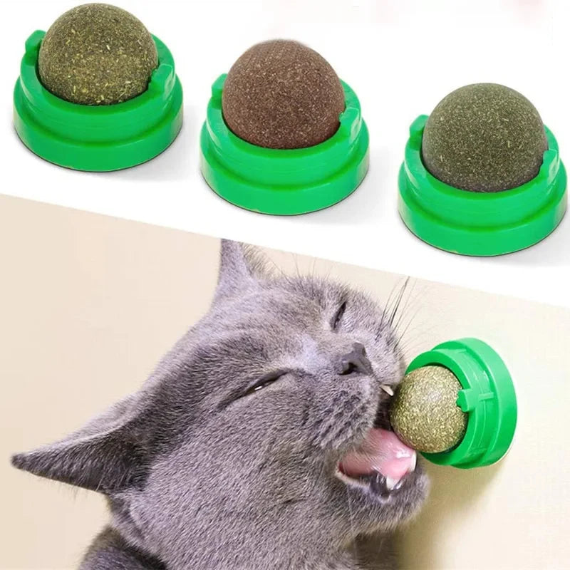 Natural Catnip Rolling Ball