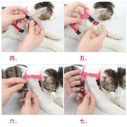 Rabbit & Cat Harness and Leash Set