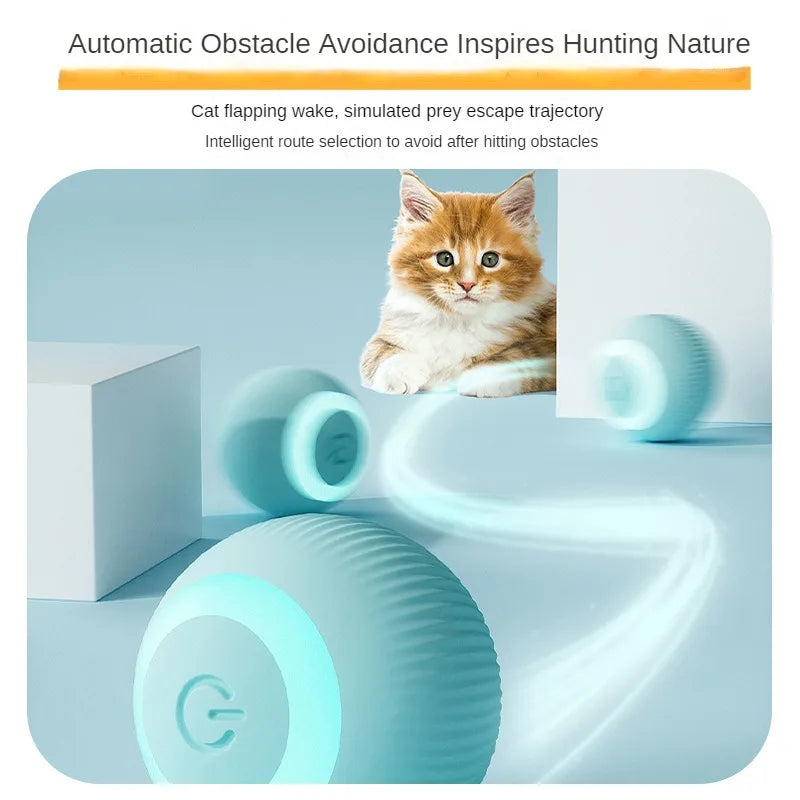 Automatic Moving Ball for Cats