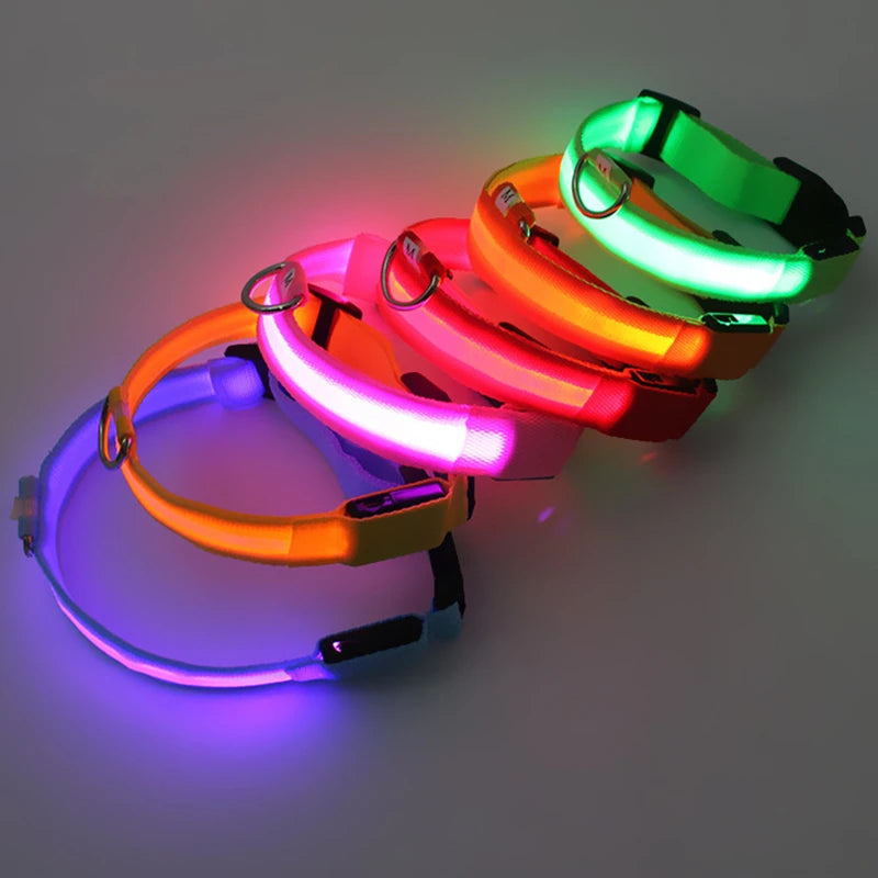 LED Luminous Dog Collar – USB Rechargeable & Detachable Night Safety Collar for Pets