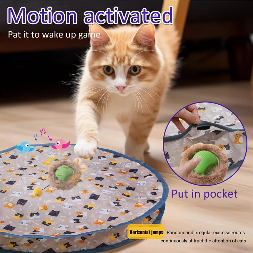 Hide & Seek Rolling Cat Toy Set