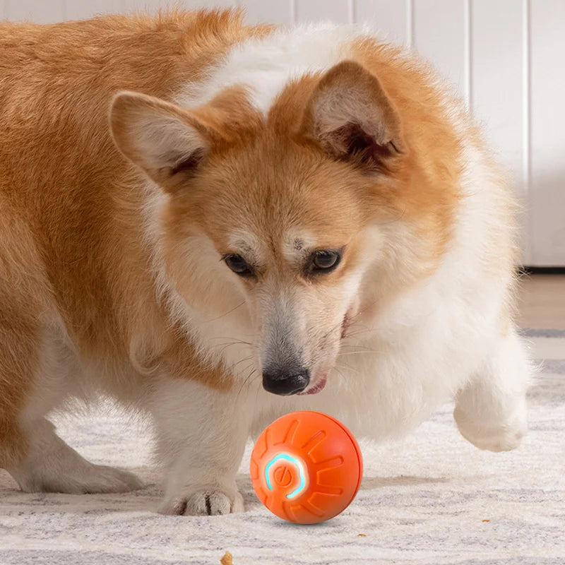 BouncySmart Dog Ball