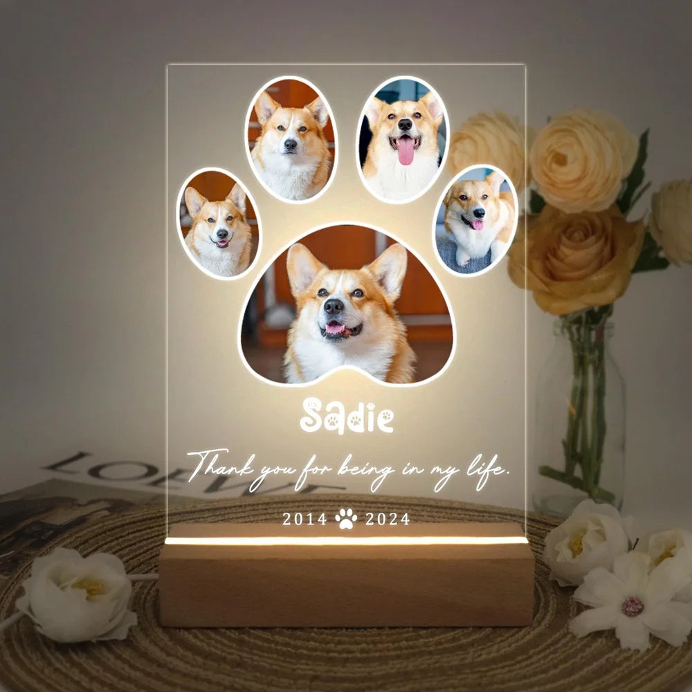 Eternal Paws – Personalized Pet Memorial
