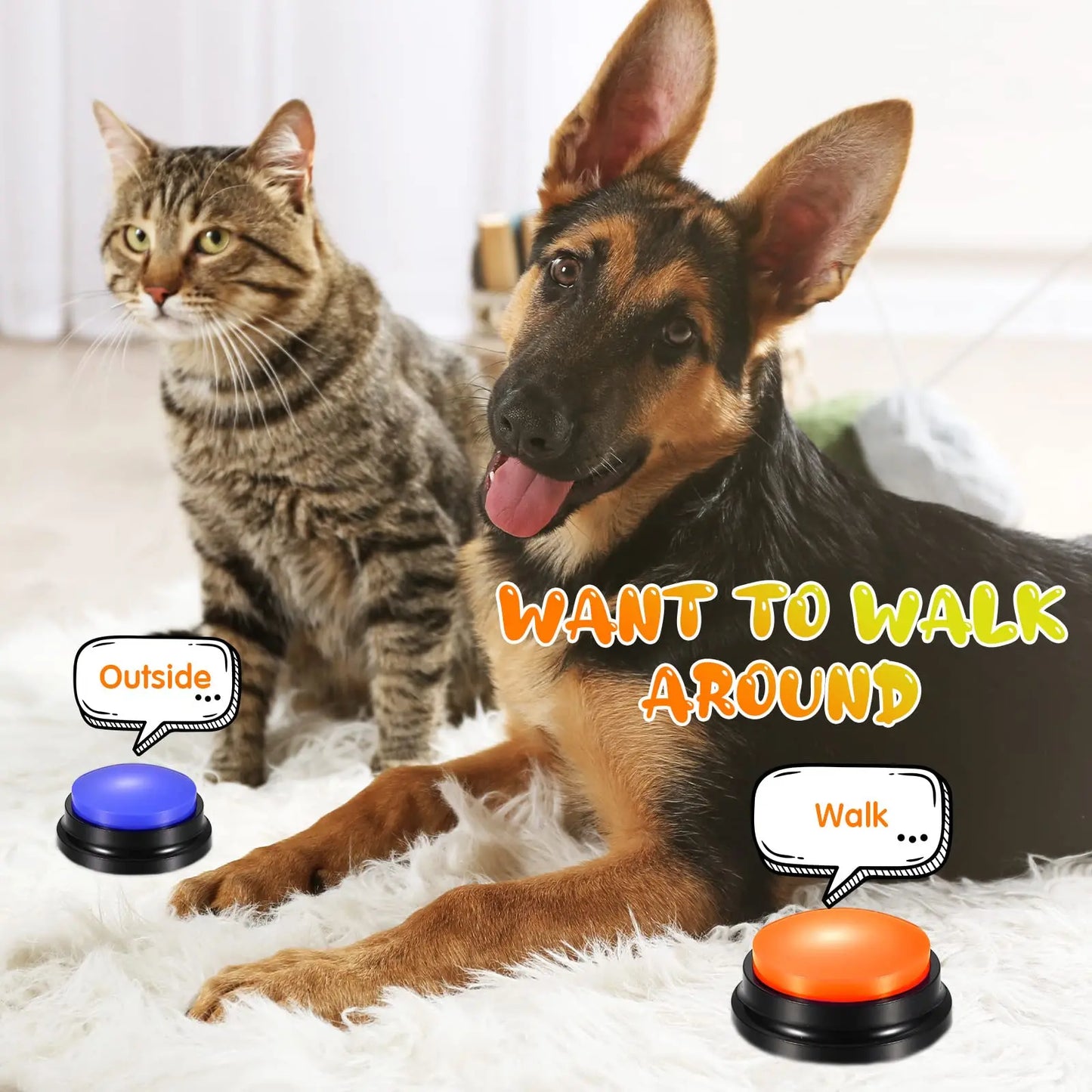 Pet Speak Recording Toy