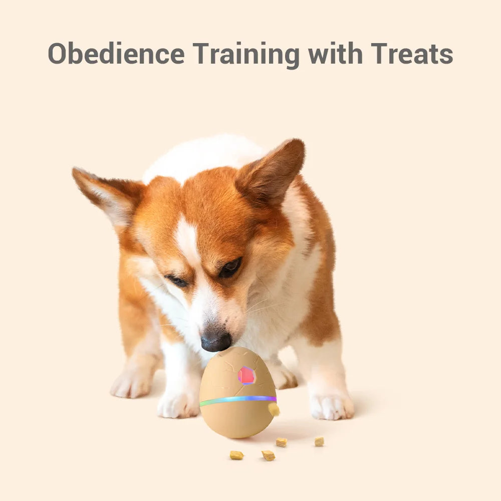 Wicked Egg Eco-Friendly Interactive Treat Dispenser Toy