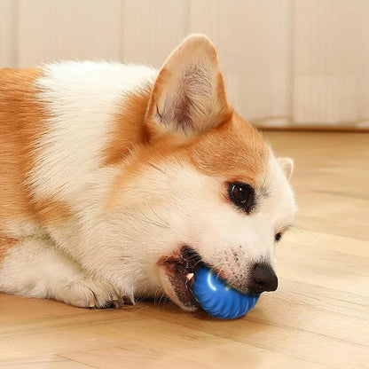 BouncySmart Dog Ball