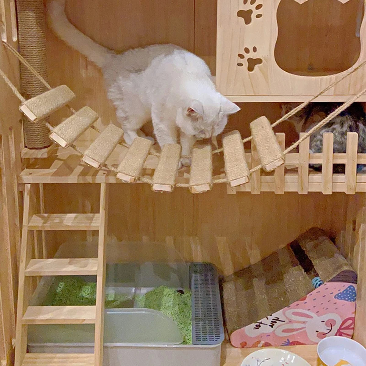 ClimbPaws - Wooden Sisal Cat Climbing Bridge & Ladder