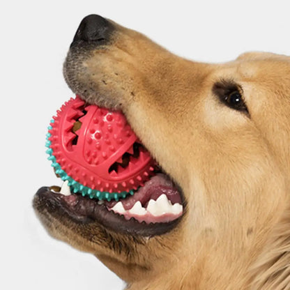 PawGrip - Interactive Dog Chew & Treat Toy