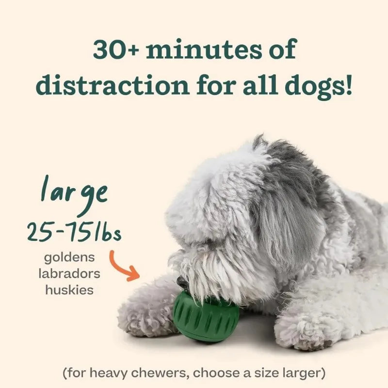PawLick Treat Enrichment Toy for Dogs & Puppies
