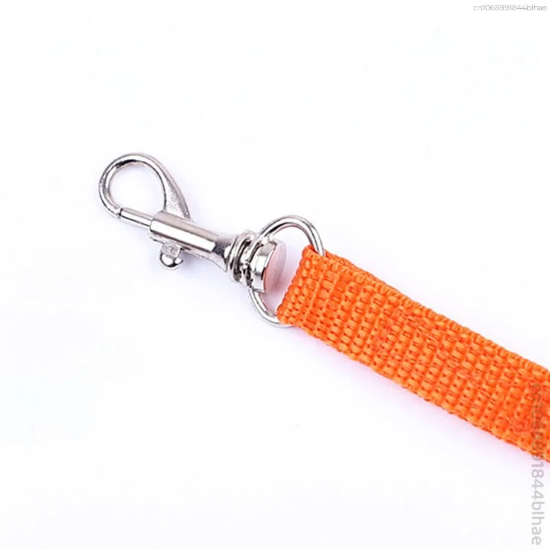 Rabbit Harness and Leash Set – Adjustable for Small Animals