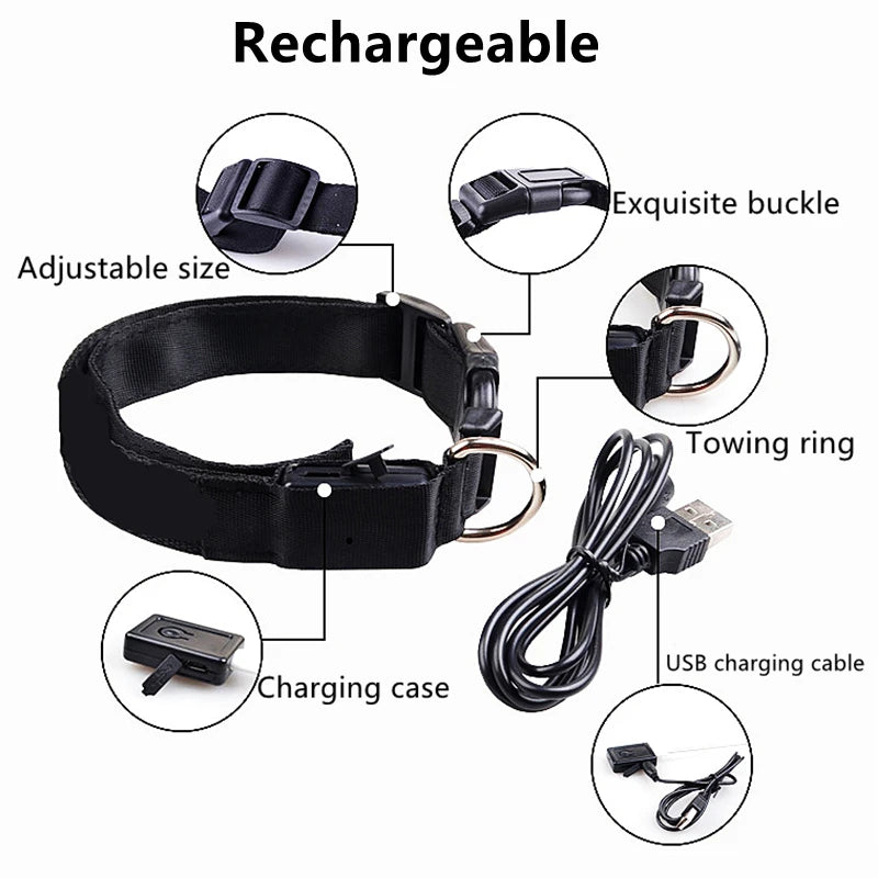 LED Luminous Dog Collar – USB Rechargeable & Detachable Night Safety Collar for Pets