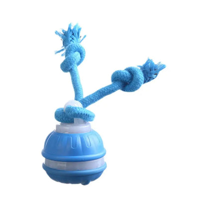 Smart Interactive Rechargeable Dog Ball – Automatic Motion Training Toy