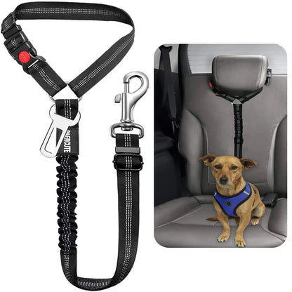 SafeRide 2-in-1 Pet Seat Belt Leash