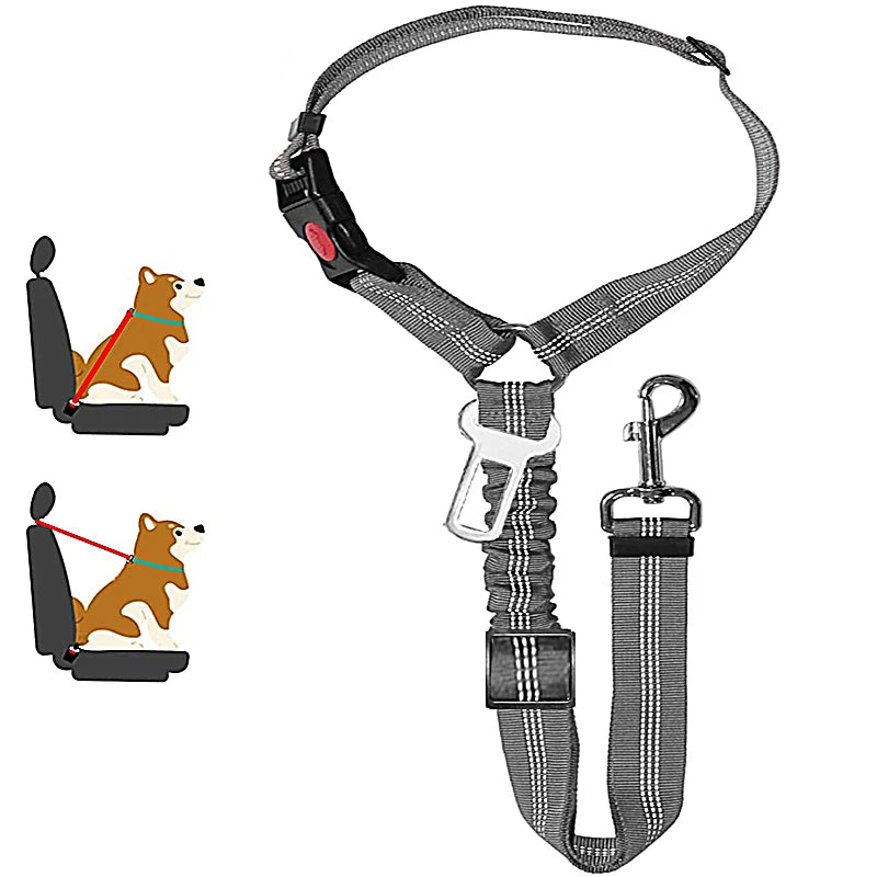 SafeRide 2-in-1 Pet Seat Belt Leash