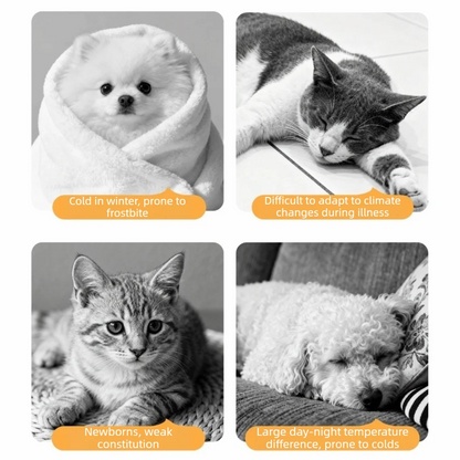 CosyWatt Heated Pet Mat