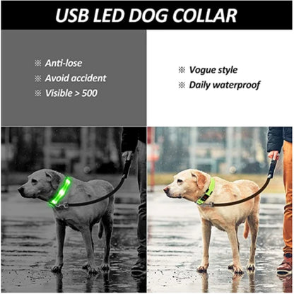 LED Luminous Dog Collar – USB Rechargeable & Detachable Night Safety Collar for Pets