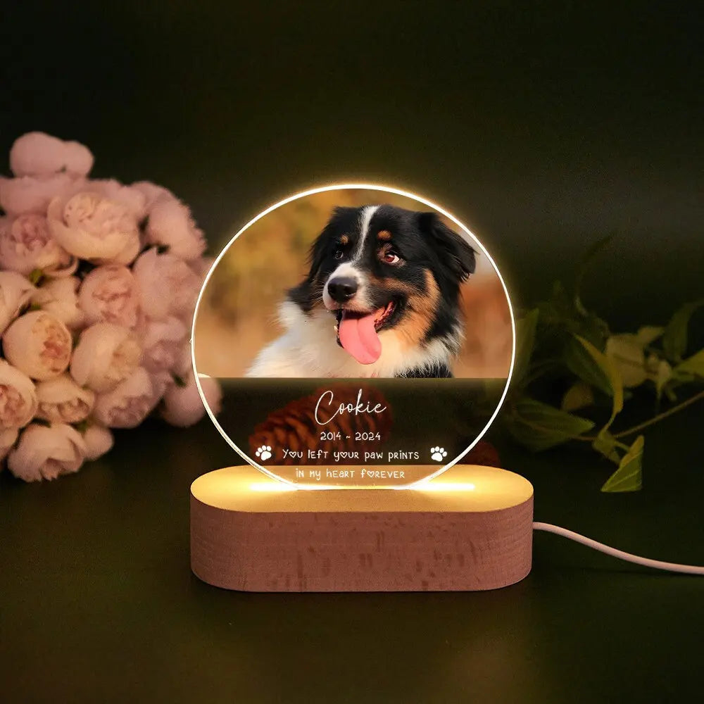 ✨ The GlowPaw – Personalized Pet Portrait Acrylic Lamp