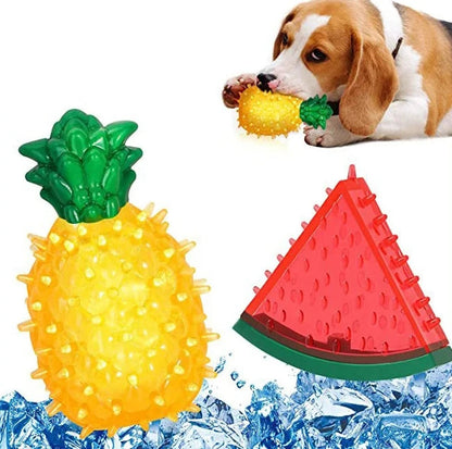 Fruit Freeze Chew Toy