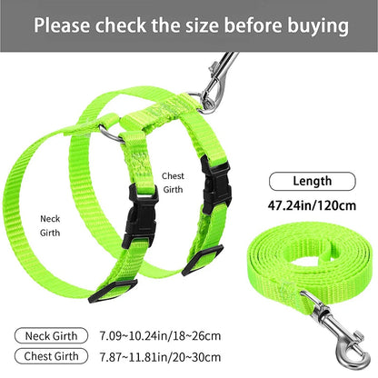 Rabbit & Cat Harness and Leash Set