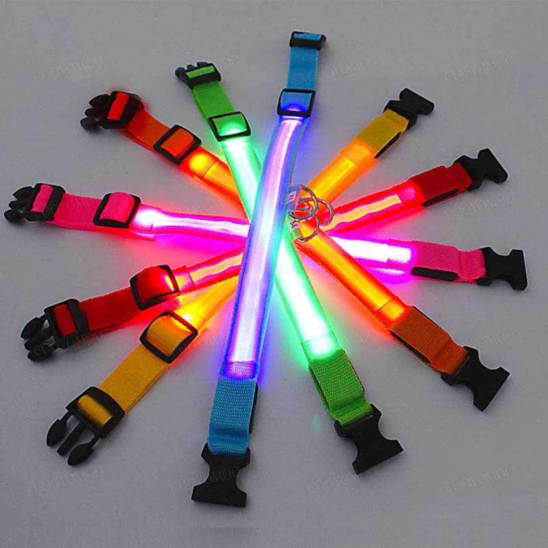 LED Luminous Dog Collar – USB Rechargeable & Detachable Night Safety Collar for Pets