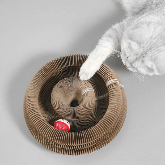Magic Organ Cat Scratching Board – Interactive, Foldable, & Multifunctional Cat Toy