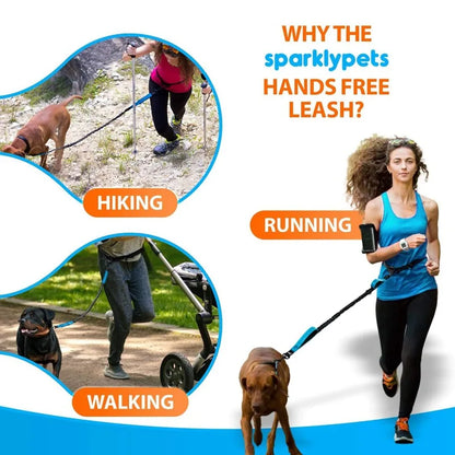 Reflective Dual-Elastic Hands-Free Dog Leash