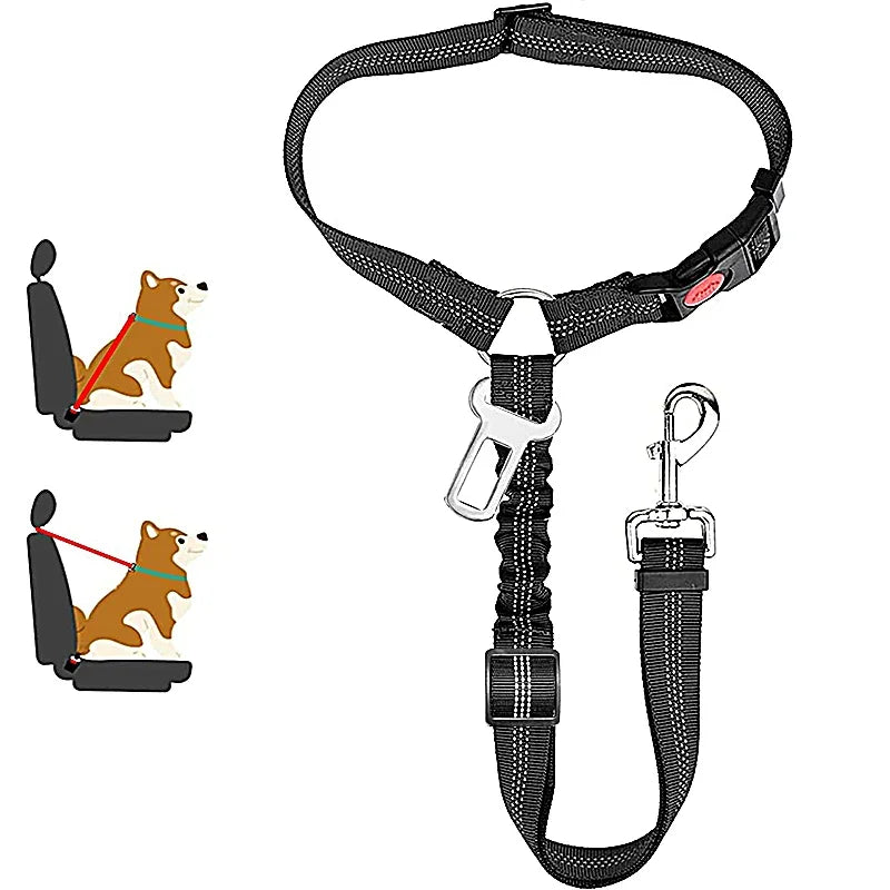 SafeRide 2-in-1 Pet Seat Belt Leash