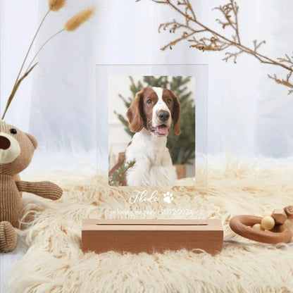 Eternal Paws – Personalized Pet Memorial