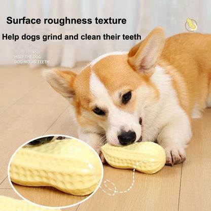Peanut & Corn Squeaky Dog Chew Toy