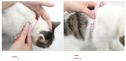 Rabbit & Cat Harness and Leash Set