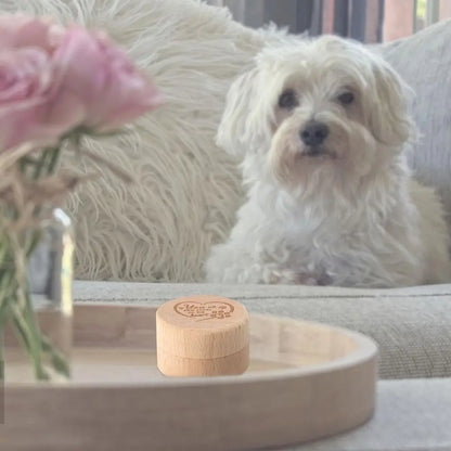 Mini Wooden Pet Memory Keepsake Box
