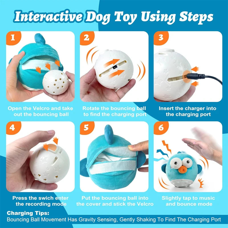 Rechargeable Interactive Bouncing Pet Toy 🐾🎵