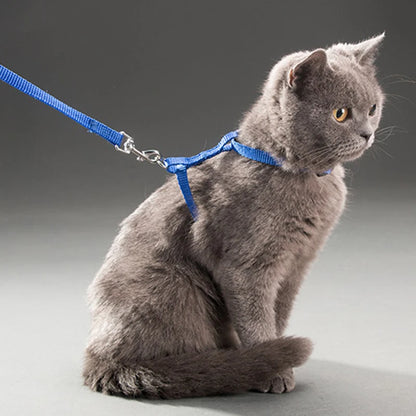 Rabbit & Cat Harness and Leash Set